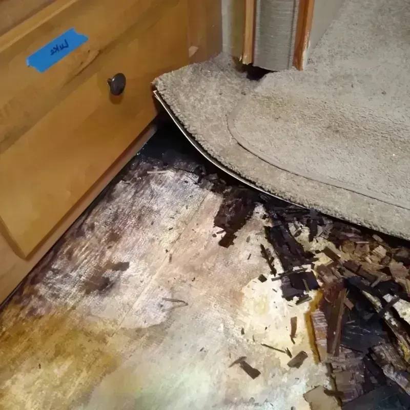 Wood Floor Water Damage in Clayton County, IA